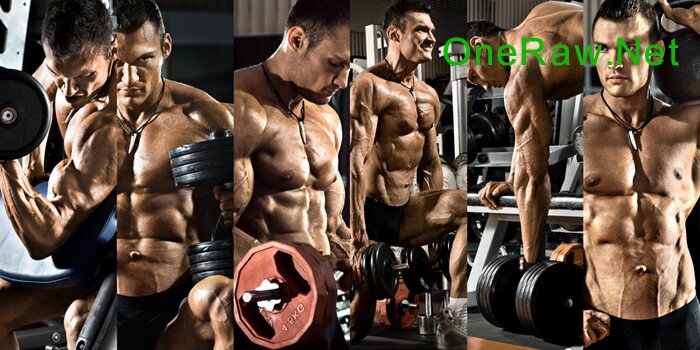Types of Available Testosterone Powder